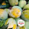 হিমসাগর আম । Himsagar Mango - ২০ কেজি
