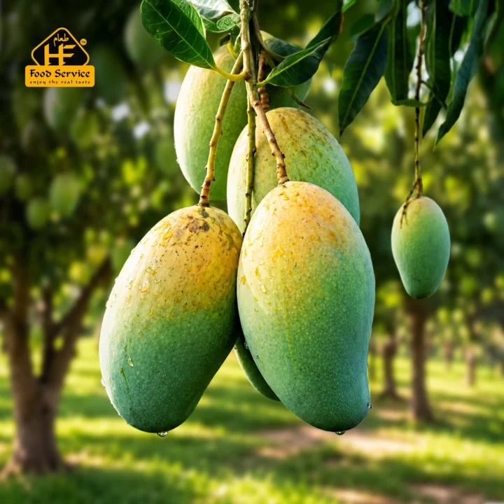 Amrapali Mango | আম্রপালি আম - ২০ কেজি