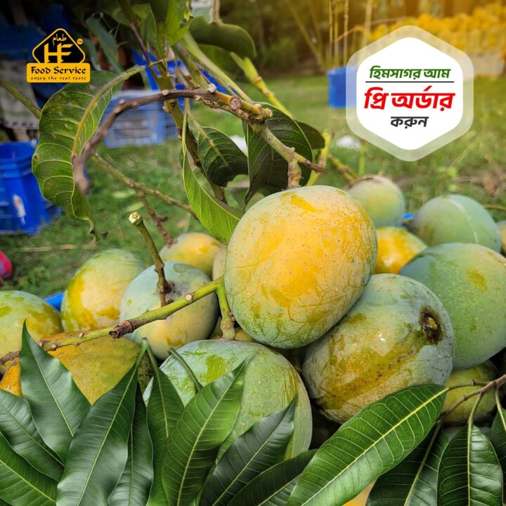 হিমসাগর আম । Himsagar Mango - ১০ কেজি